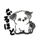 新・B＆W シーズー犬【いつもの言葉】（個別スタンプ：26）