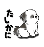 新・B＆W シーズー犬【いつもの言葉】（個別スタンプ：29）