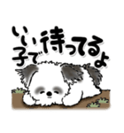 新・B＆W シーズー犬【いつもの言葉】（個別スタンプ：36）