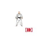 MOVING  KARATE  KATA  【極】（個別スタンプ：1）