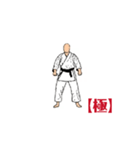 MOVING  KARATE  KATA  【極】（個別スタンプ：3）