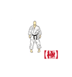 MOVING  KARATE  KATA  【極】（個別スタンプ：12）