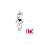 MOVING  KARATE  KATA  【極】（個別スタンプ：15）