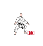 MOVING  KARATE  KATA  【極】（個別スタンプ：16）