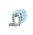 ボドゲ猫（個別スタンプ：6）