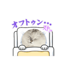 動くモフきなこ（個別スタンプ：8）