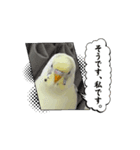 動くモッチLINEスタンプ（個別スタンプ：2）