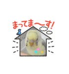 動くモッチLINEスタンプ（個別スタンプ：6）