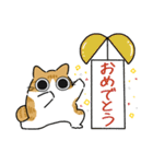 ねこぽっくる茶白【お祝い＆お礼】（個別スタンプ：11）