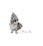 タフだぜタフィーくん2（個別スタンプ：5）