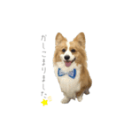 タフだぜタフィーくん2（個別スタンプ：7）
