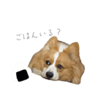 タフだぜタフィーくん2（個別スタンプ：10）