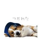タフだぜタフィーくん2（個別スタンプ：12）