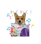 タフだぜタフィーくん2（個別スタンプ：28）