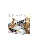 タフだぜタフィーくん2（個別スタンプ：29）