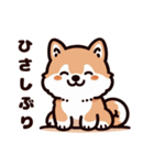 かわいい柴犬シリーズ 40枚（個別スタンプ：4）