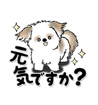 新・シーズー犬【いつもの言葉】（個別スタンプ：6）