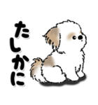 新・シーズー犬【いつもの言葉】（個別スタンプ：29）