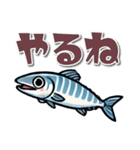 青魚のキャラクターが話す日常会話スタンプ（個別スタンプ：19）