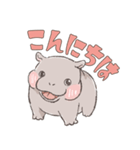もっちりこかば（個別スタンプ：1）