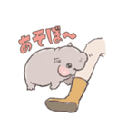 もっちりこかば（個別スタンプ：23）