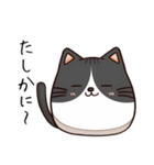 ねここ 毎日使える猫スタンプ あいづち編（個別スタンプ：3）