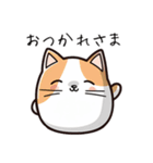 ねここ 毎日使える猫スタンプ あいづち編（個別スタンプ：16）