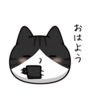 ねここ 毎日使える猫スタンプ あいづち編（個別スタンプ：17）