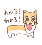 かしこくてやさしい犬【うろ覚え】（個別スタンプ：22）