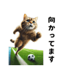 サッカー大好き猫の日常会話スタンプ（個別スタンプ：7）