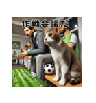 サッカー大好き猫の日常会話スタンプ（個別スタンプ：35）