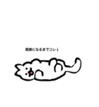 既読にならない時に使える（みて）にゃんこ（個別スタンプ：2）