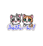 Cozy Cats: 和みのスタンプ15（個別スタンプ：8）