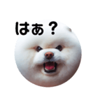 もふもふにおまかせ（個別スタンプ：2）