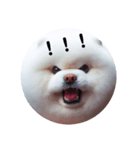 もふもふにおまかせ（個別スタンプ：5）
