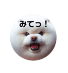 もふもふにおまかせ（個別スタンプ：10）