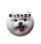 もふもふにおまかせ（個別スタンプ：14）