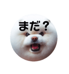 もふもふにおまかせ（個別スタンプ：15）