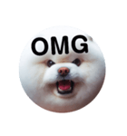 fluffy dog～もふもふな犬におまかせ～（個別スタンプ：3）