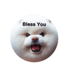 fluffy dog～もふもふな犬におまかせ～（個別スタンプ：10）