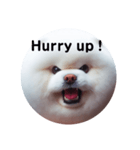 fluffy dog～もふもふな犬におまかせ～（個別スタンプ：14）