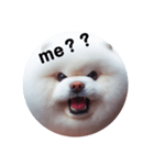 fluffy dog～もふもふな犬におまかせ～（個別スタンプ：15）