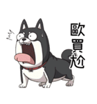 過剰反応する黒柴犬（個別スタンプ：2）