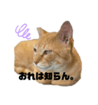 ブッチャ丸（個別スタンプ：2）