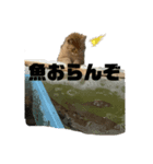 ブッチャ丸（個別スタンプ：8）