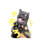 フレブルすちゃん（個別スタンプ：2）