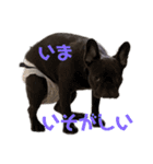 フレブルすちゃん（個別スタンプ：7）