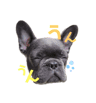 フレブルすちゃん（個別スタンプ：12）