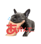フレブルすちゃん（個別スタンプ：15）