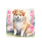 犬と少女の友情物語（個別スタンプ：1）